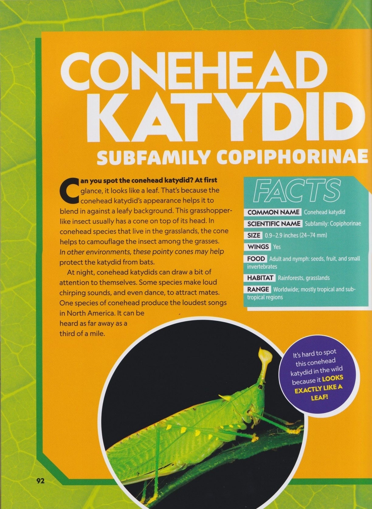 National Geographic Kids: Ultimate Bug-opedia Second Edition (Disney)