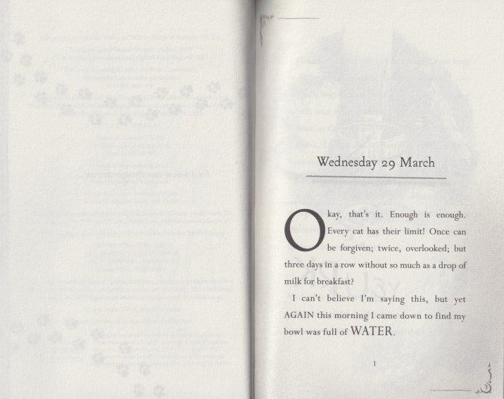 Diary of a Puss in Boots