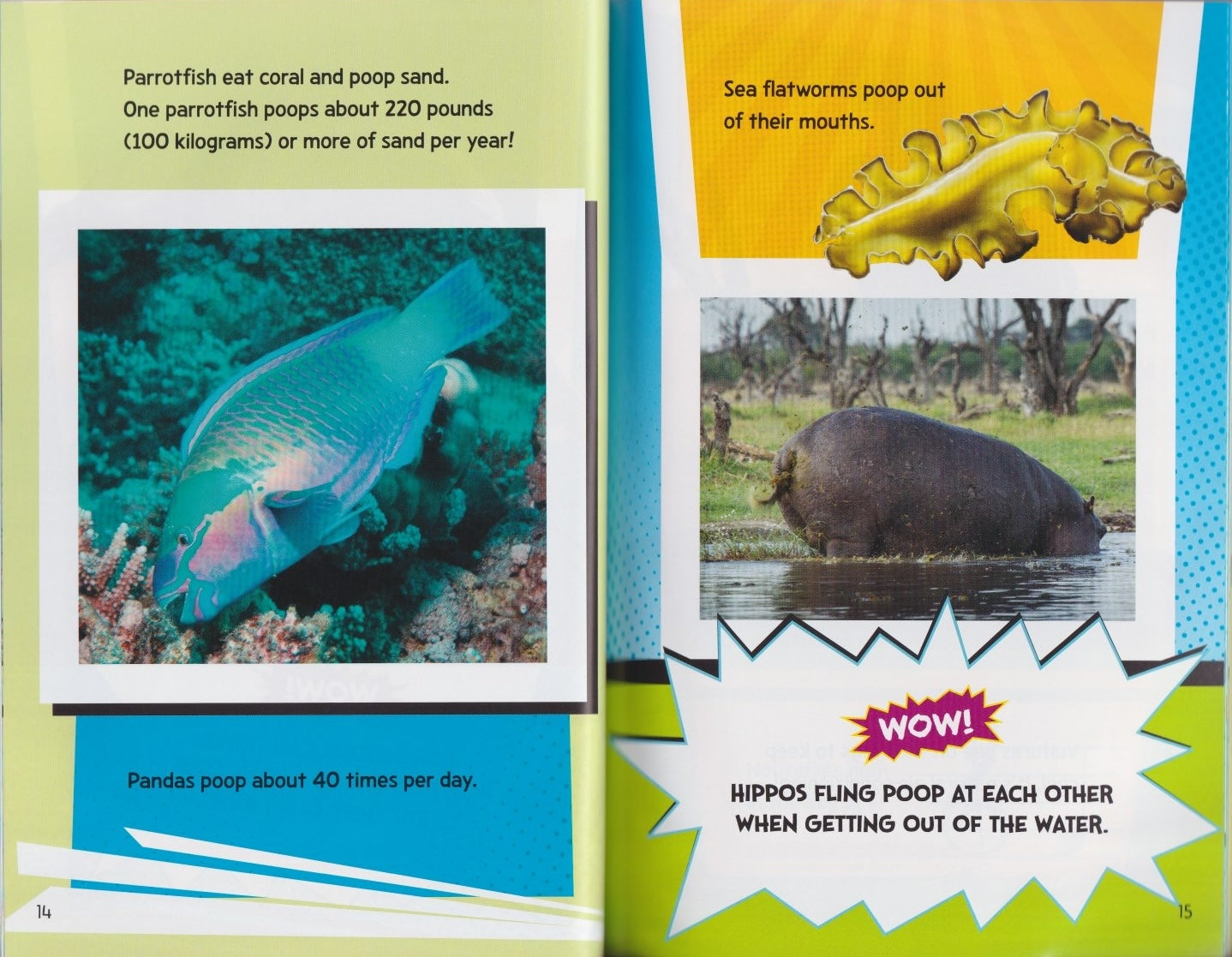 Fact Frenzy: Animal Fact Frenzy!
