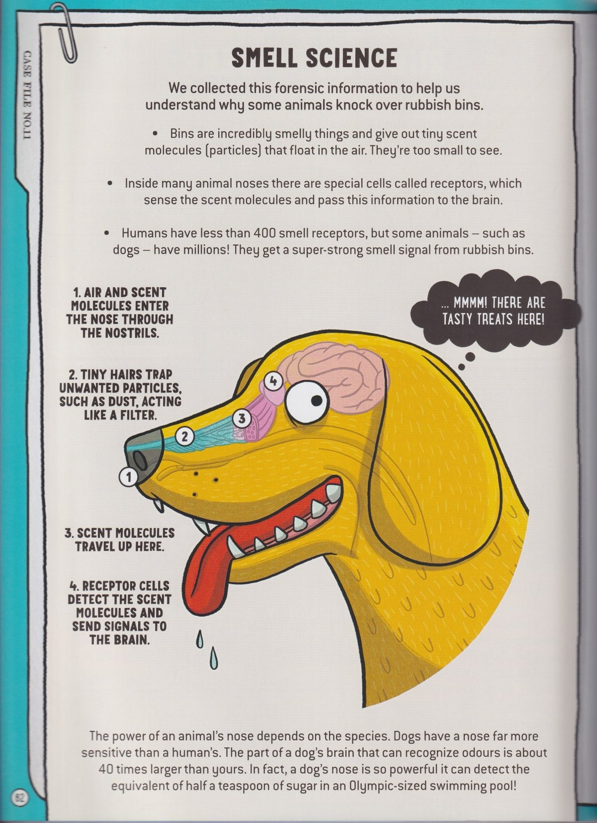 The Animal Detectives