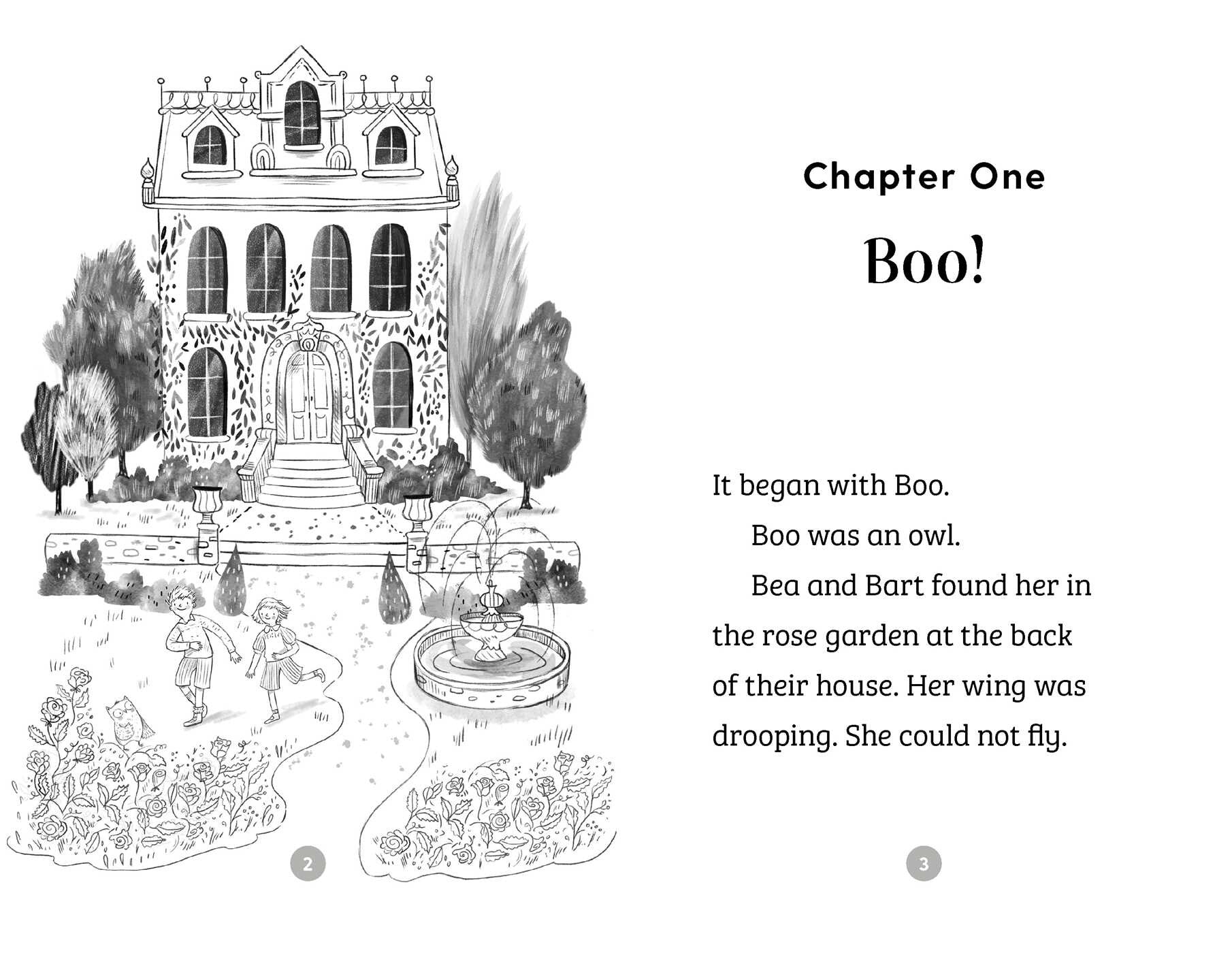 Your Next Read Silver: Bea, Bart and the Birds