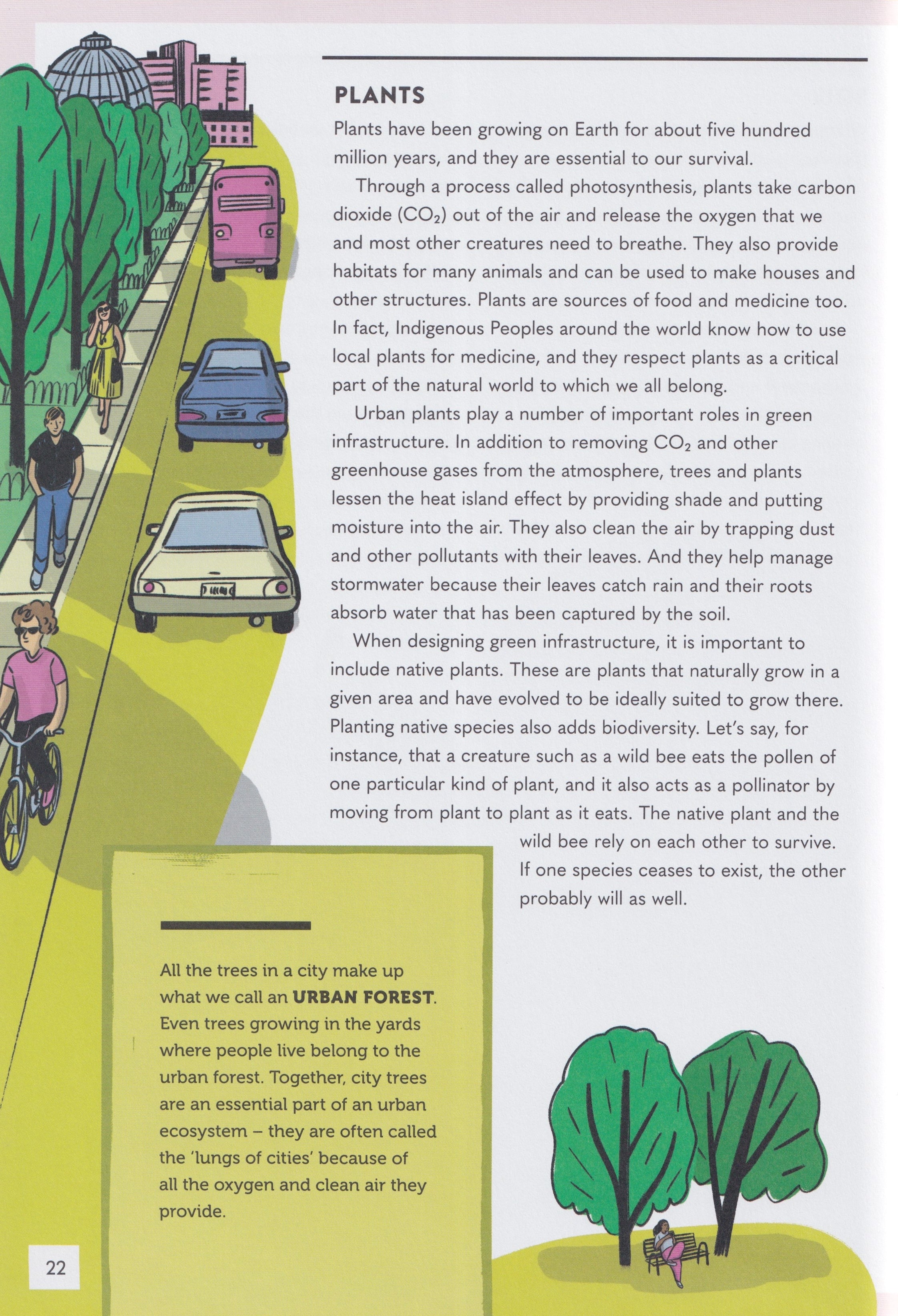 Green Cities