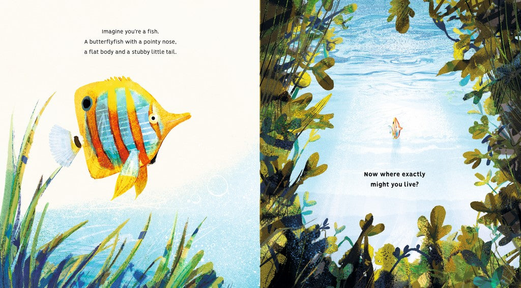 Protecting the Planet: Creatures of the Coral Reef