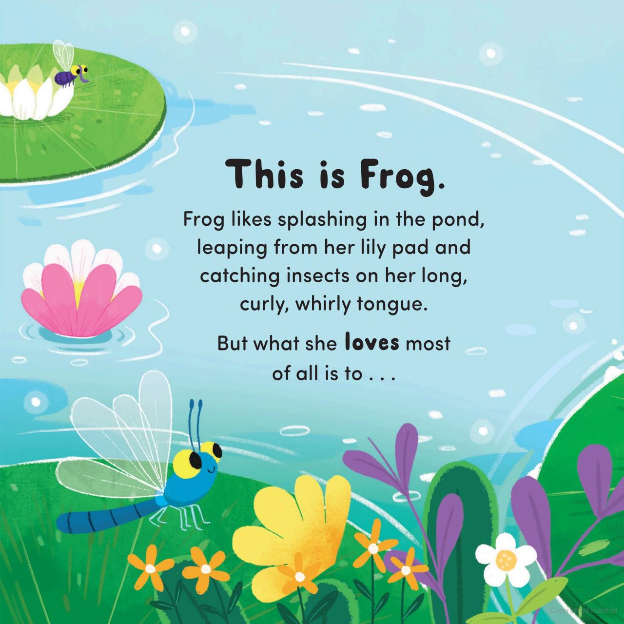 Life Cycle Stories: Frog