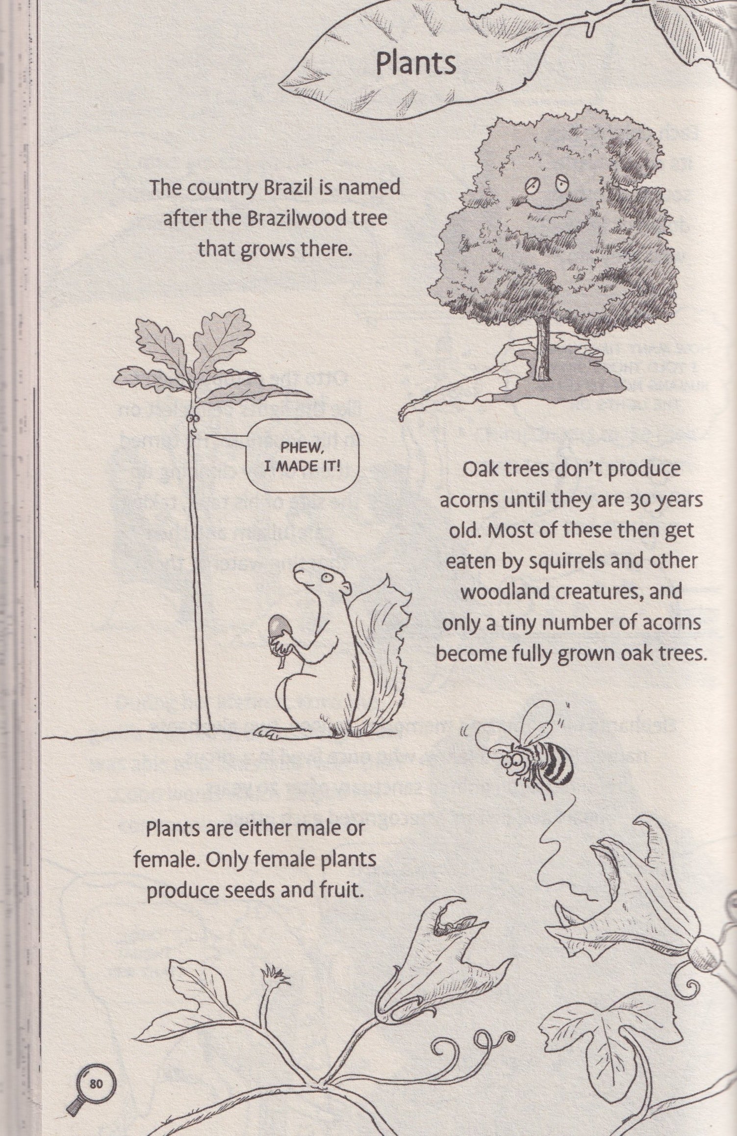 Awesome Facts for Curious Kids: 10 Year Olds