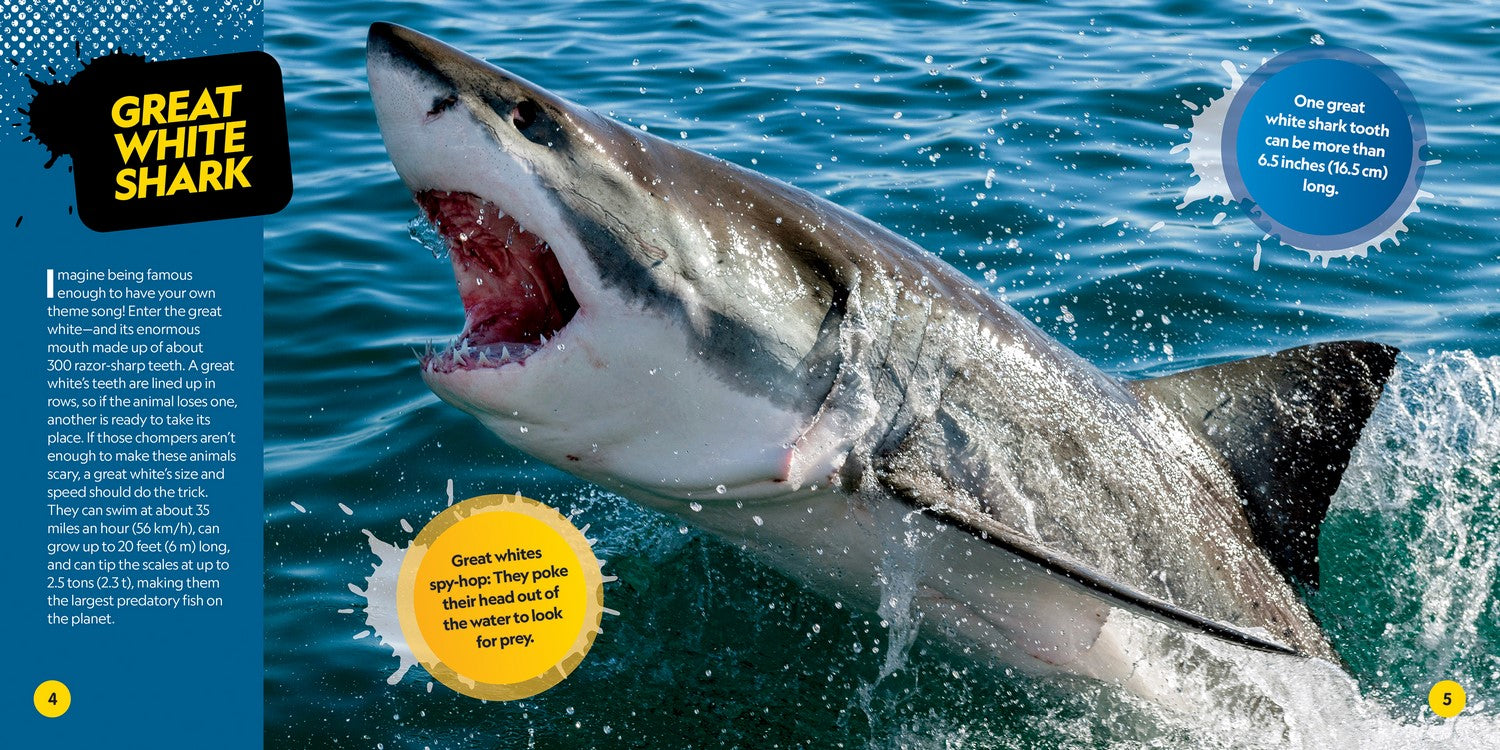 Deadliest Animals on the Planet