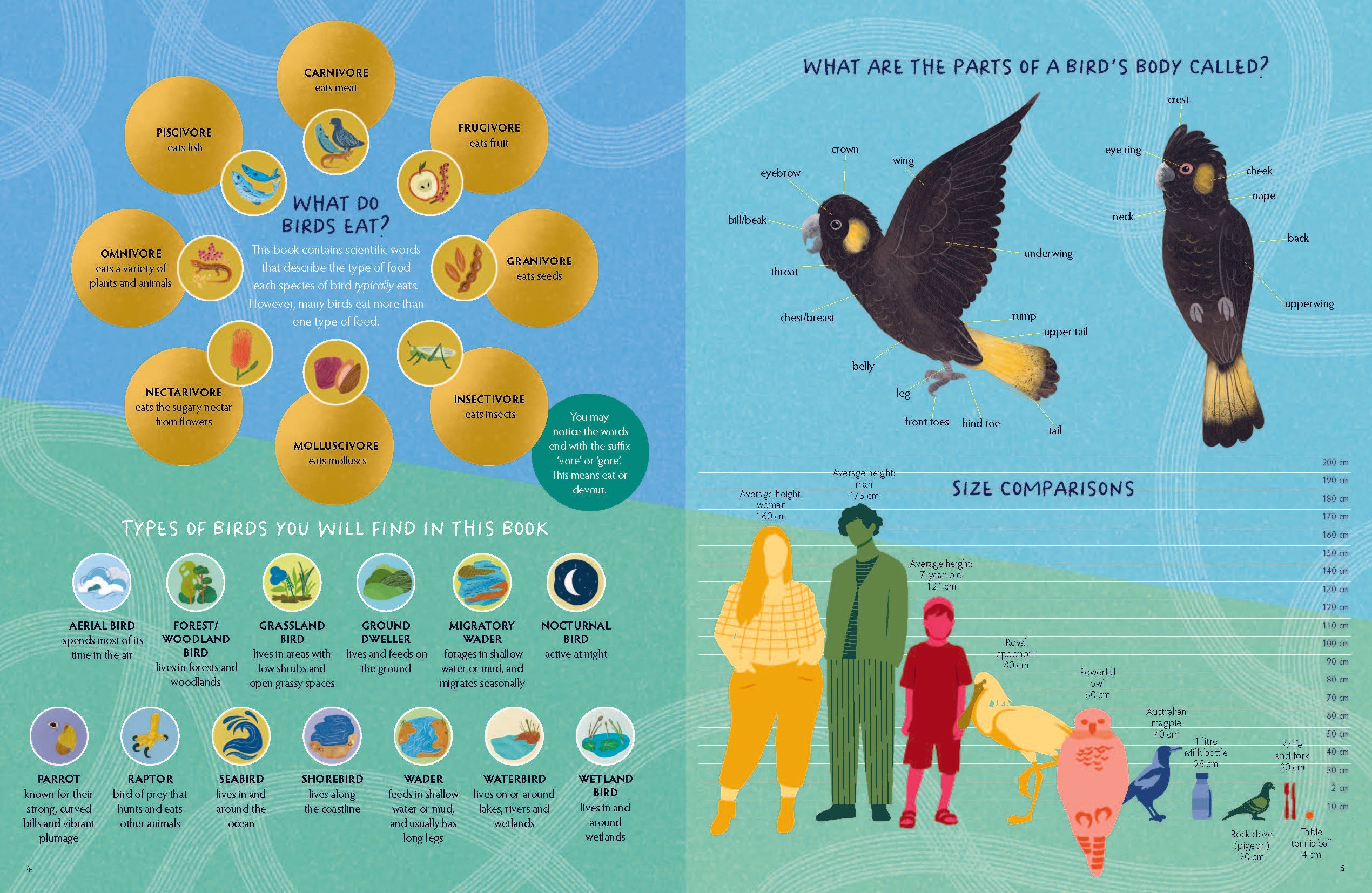 This Bird: Noticing Our Urban Birds