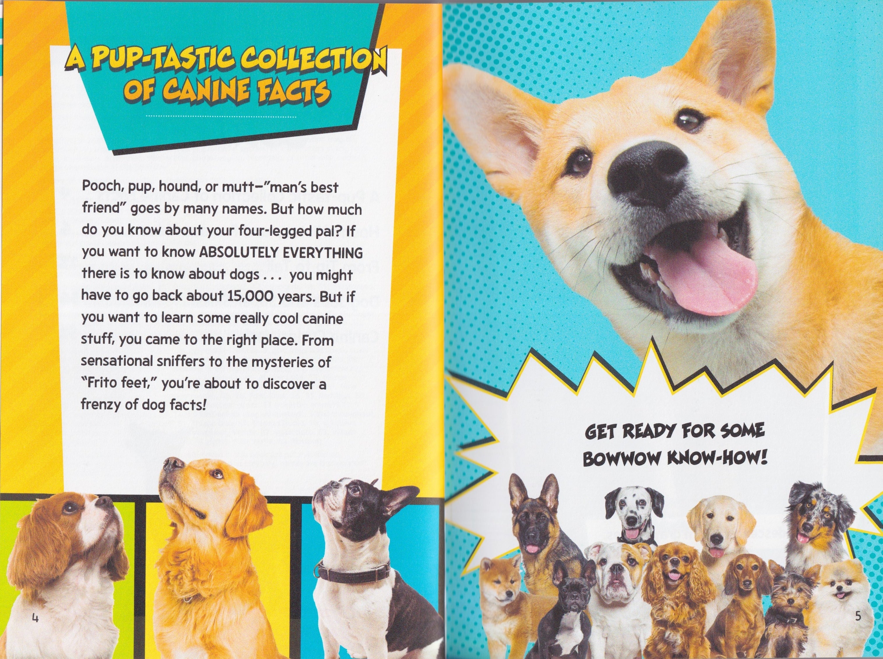 Fact Frenzy: Dog Fact Frenzy!
