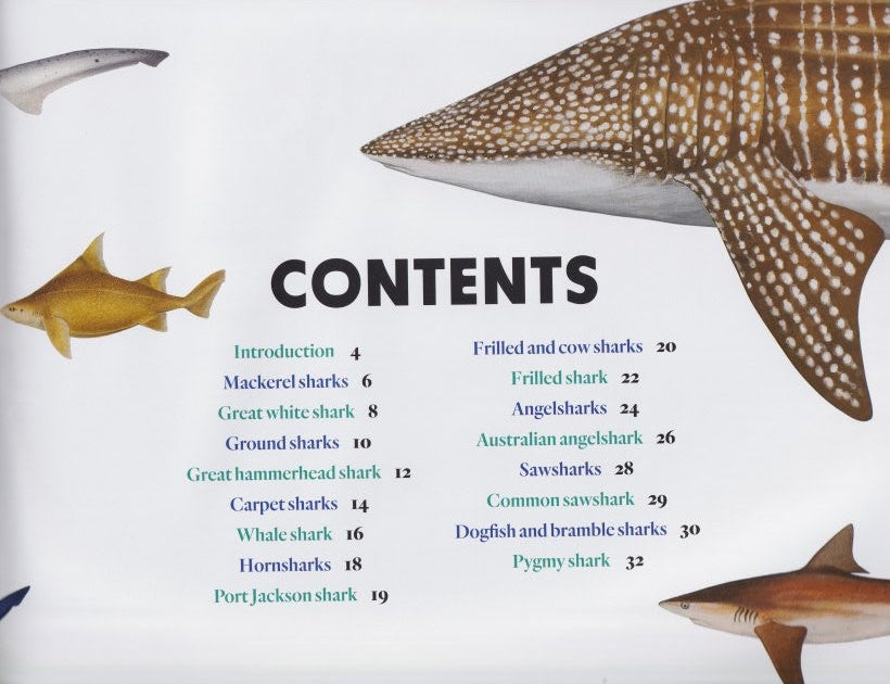 Australia’s Amazing Sharks