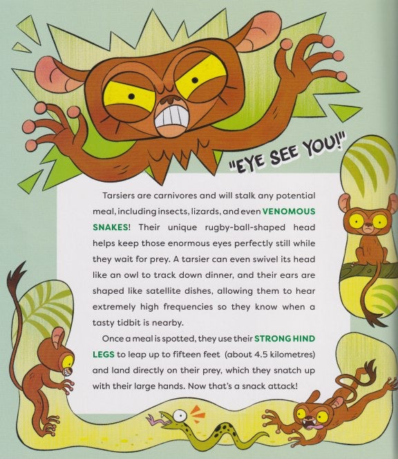 Cute Animals That Could Kill You Dead