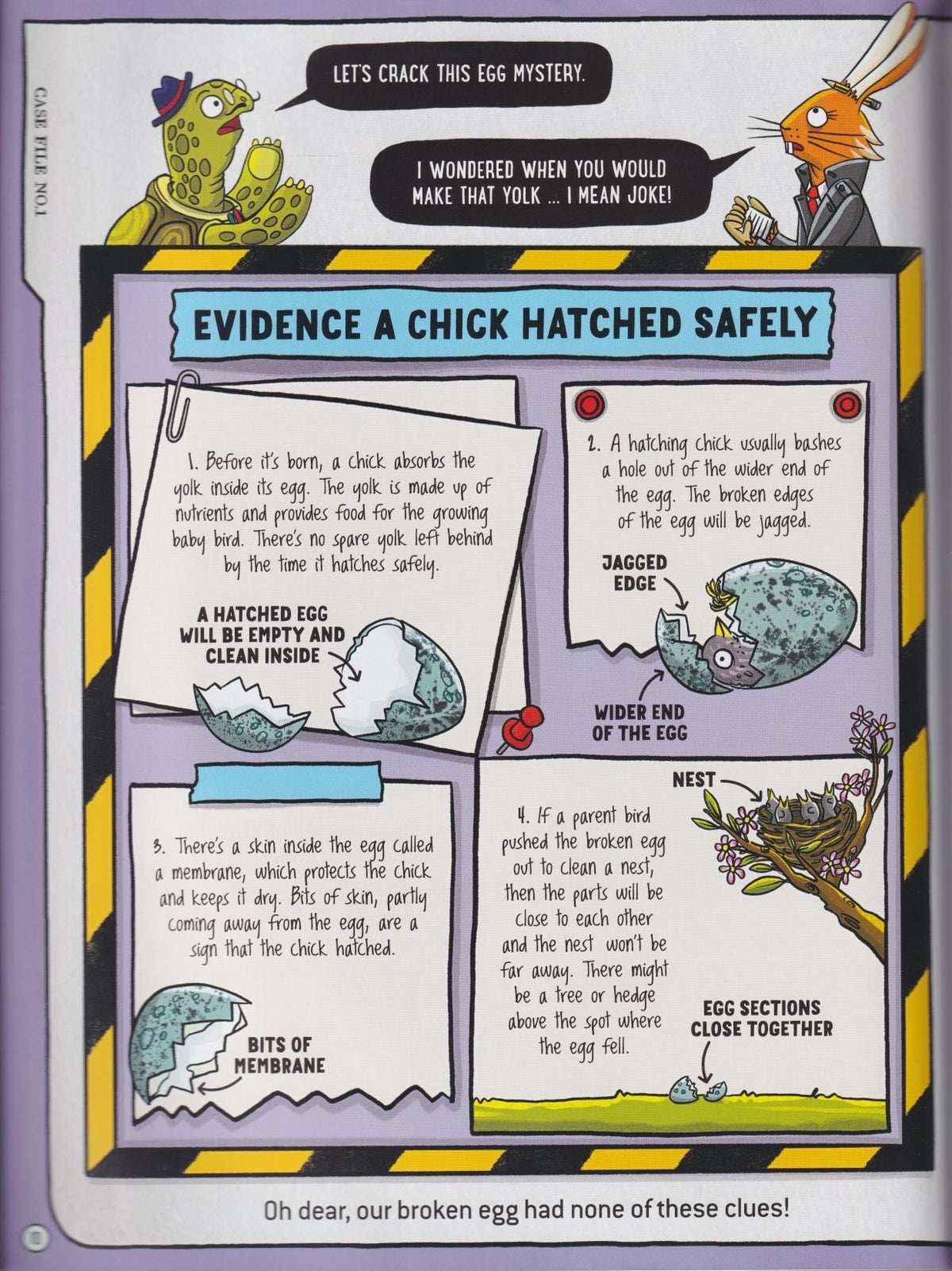 The Animal Detectives