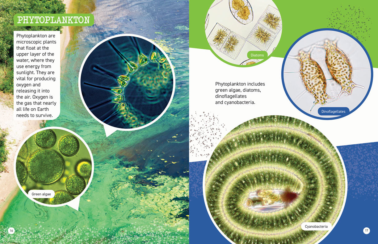 Microscopic and Hidden Life: What’s in That Water?