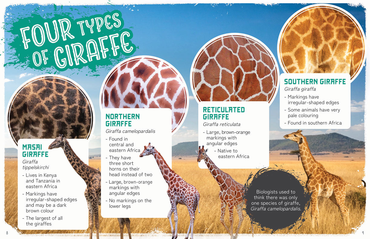 Remarkable Wildlife: Giraffe