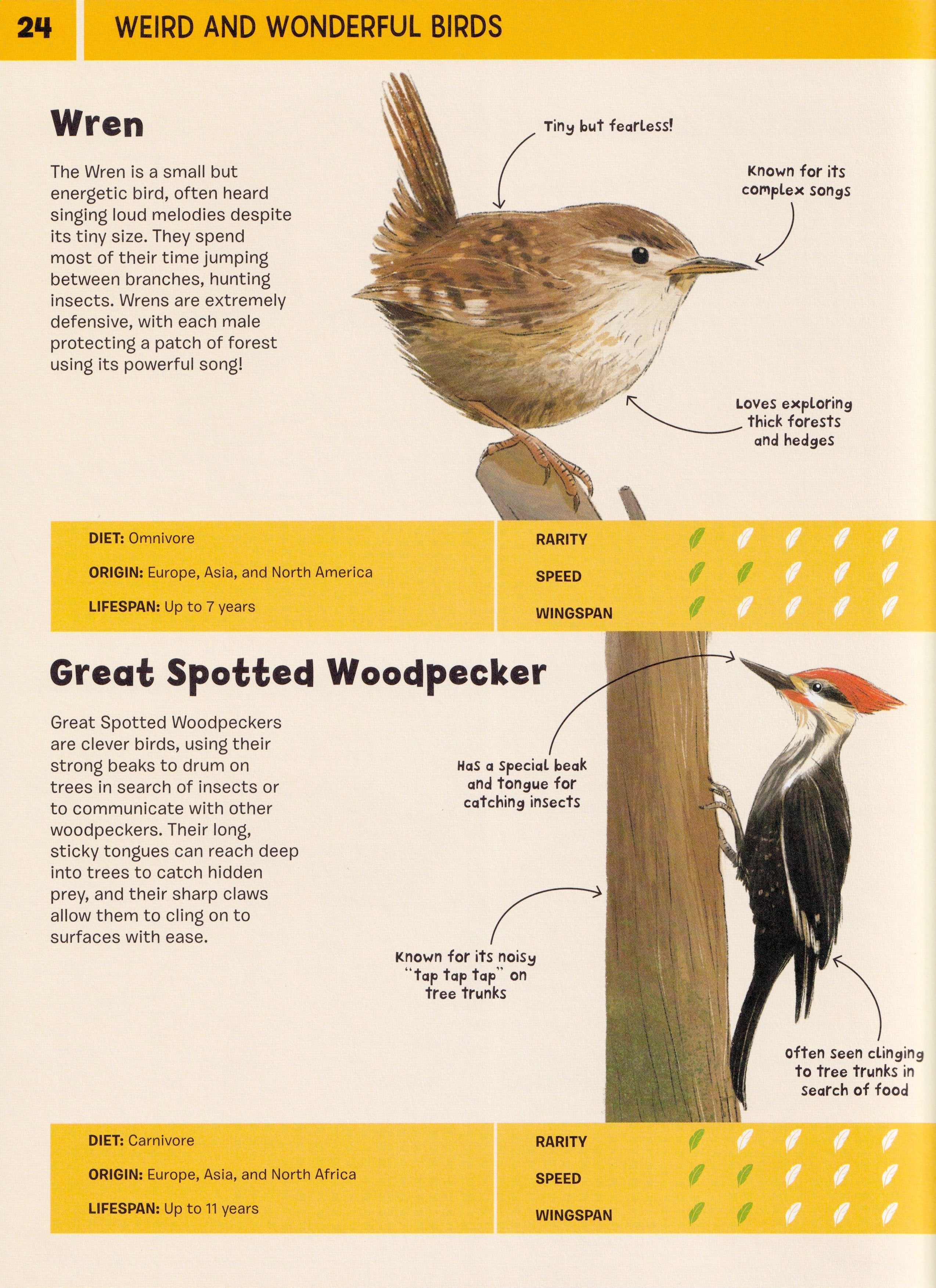 An Illustrated Guide To: 100 Brilliant Birds!