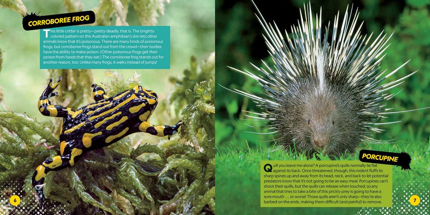 Deadliest Animals on the Planet