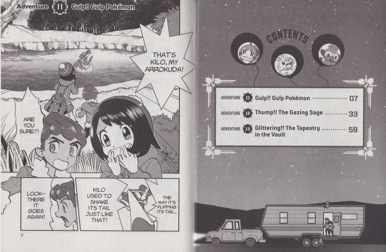 Pokémon: Sword & Shield, Vol. 4