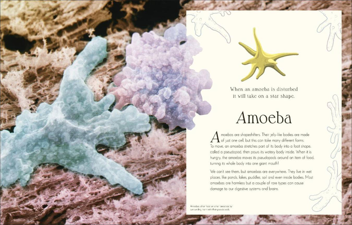 An Anthology of Micro Life