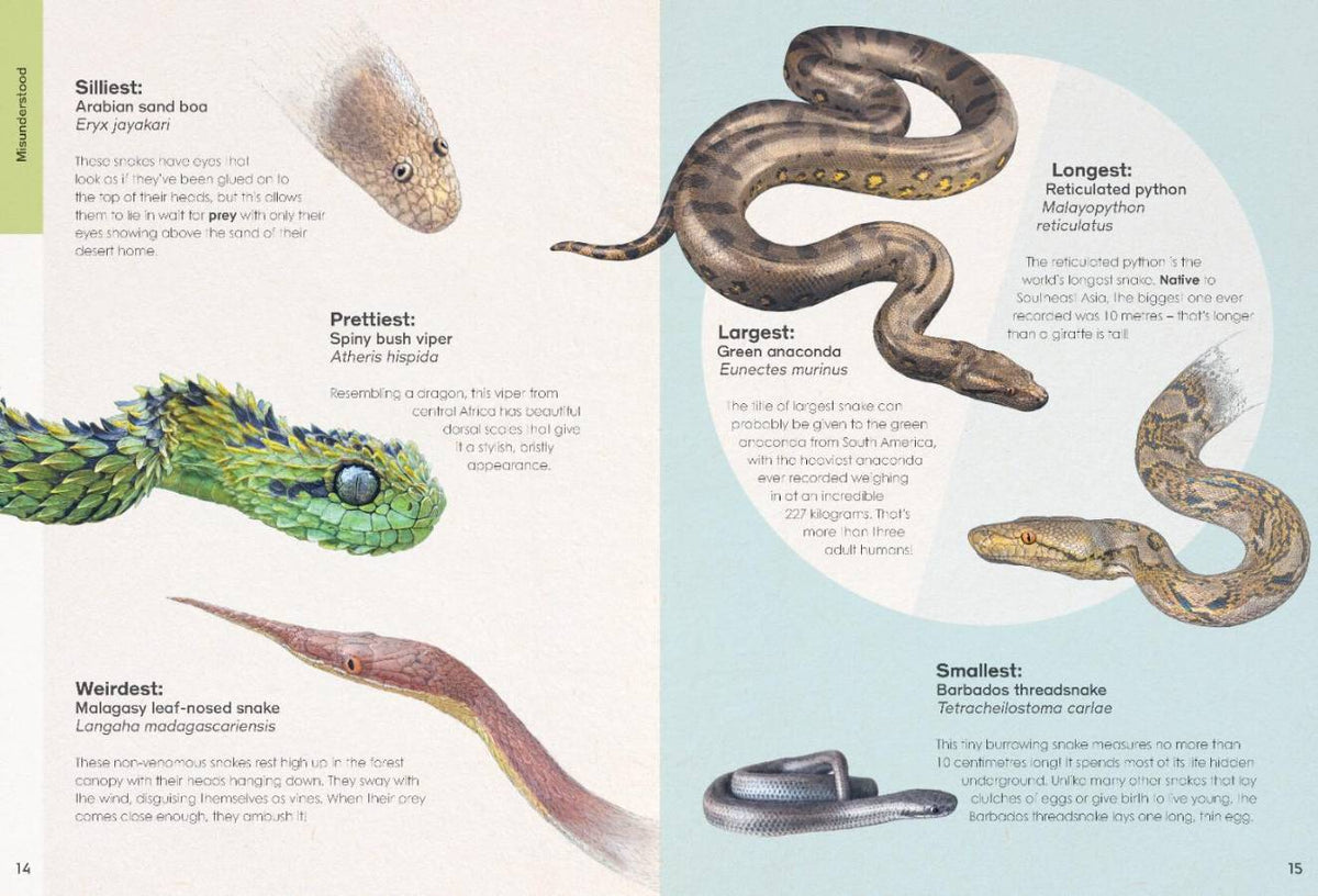 Wild Wonders