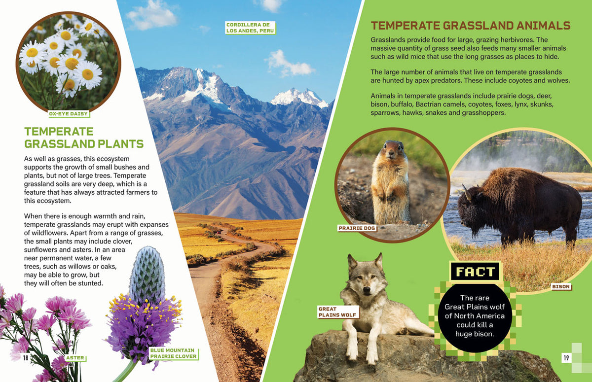 Biomes: Grassland
