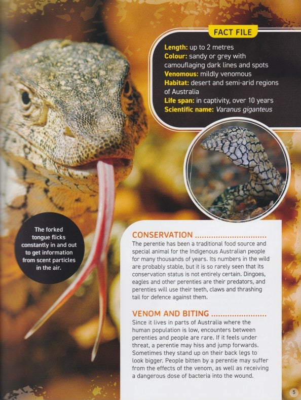 Australia's Scariest Creatures: Fierce Reptiles (Softcover)