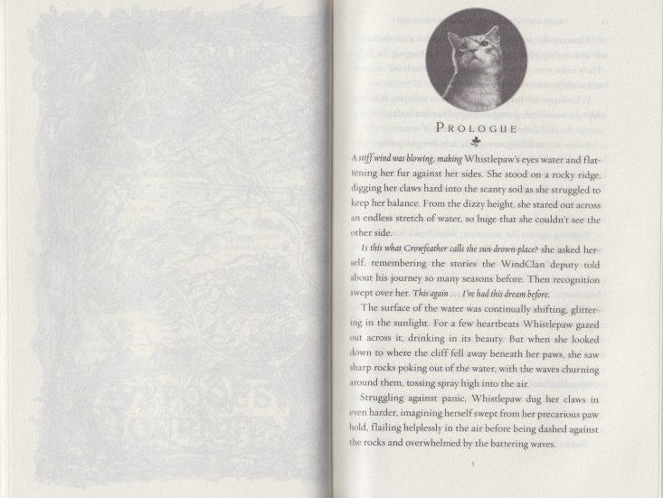 Warriors Super Edition: Ivypool’s Heart