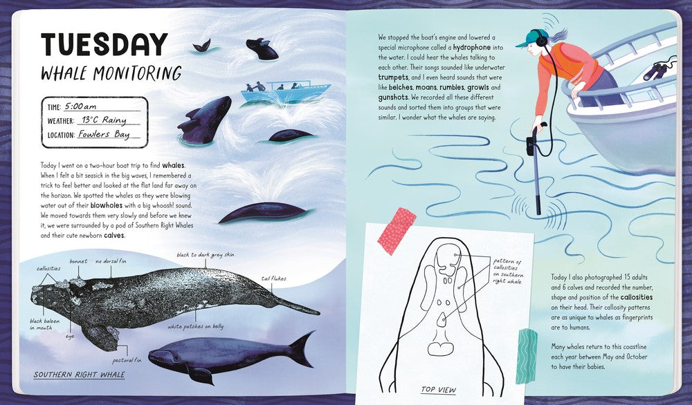 Diary of a Marine Biologist