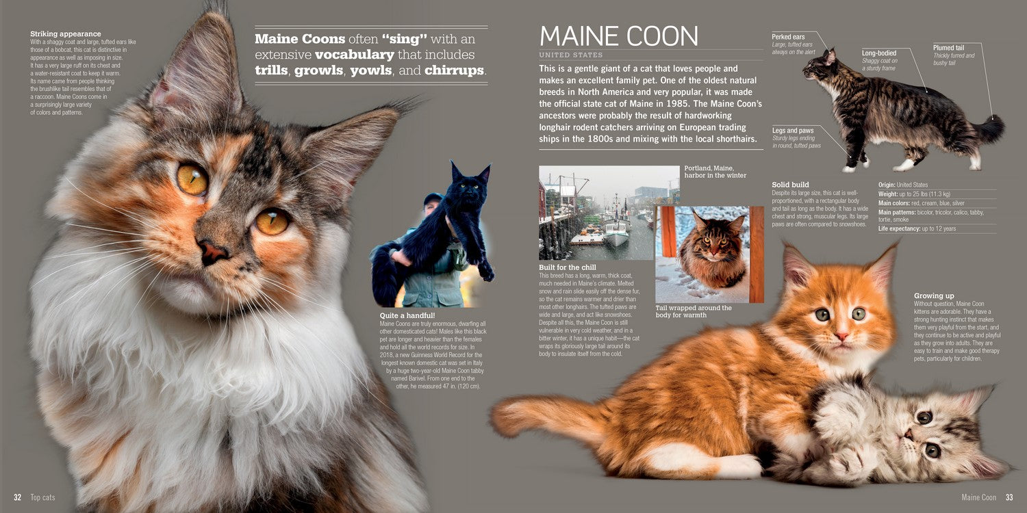 Cats A Visual Catalog of More Than 50 Breeds