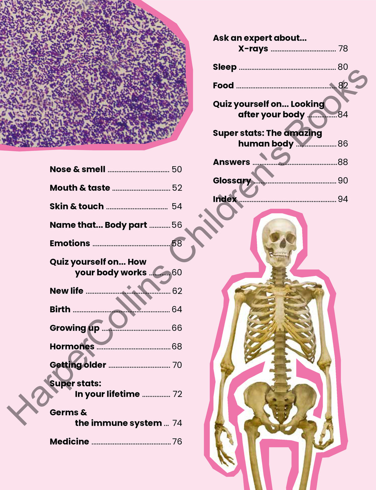 All About the Human Body