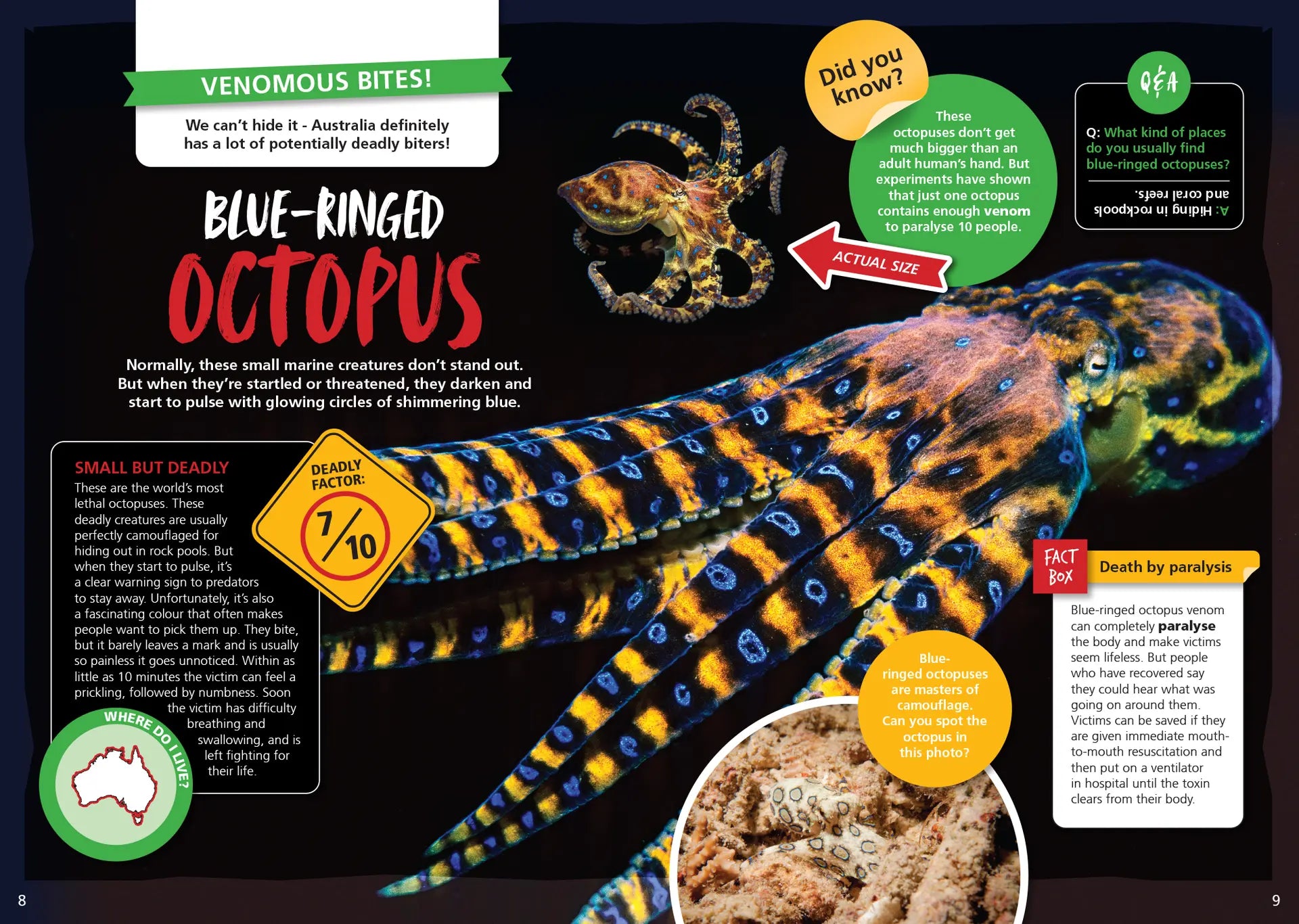 Australia's Most Deadly