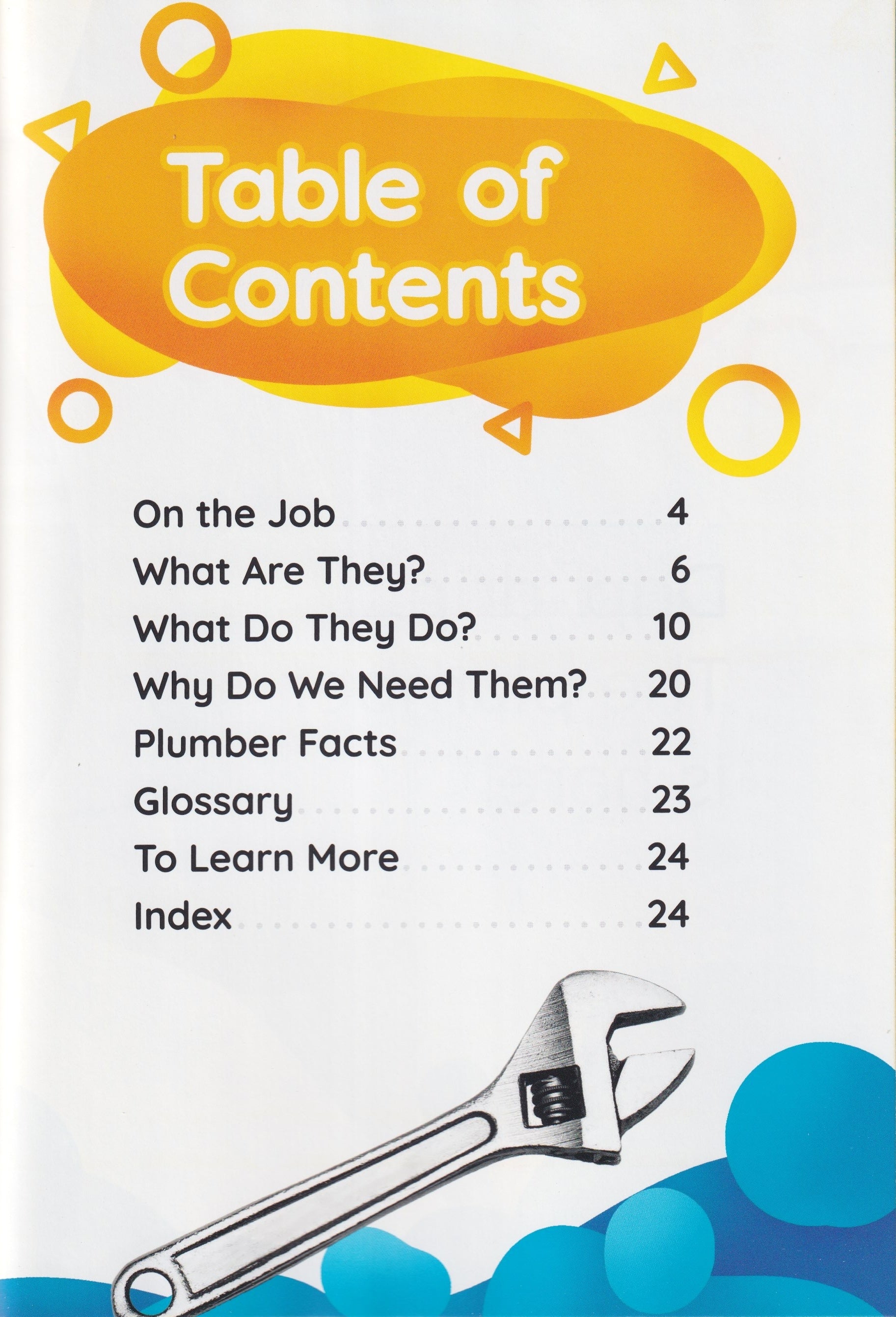 Community Workers: Plumbers