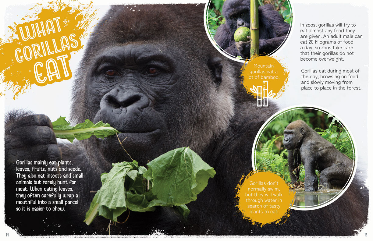 Remarkable Wildlife: Gorilla