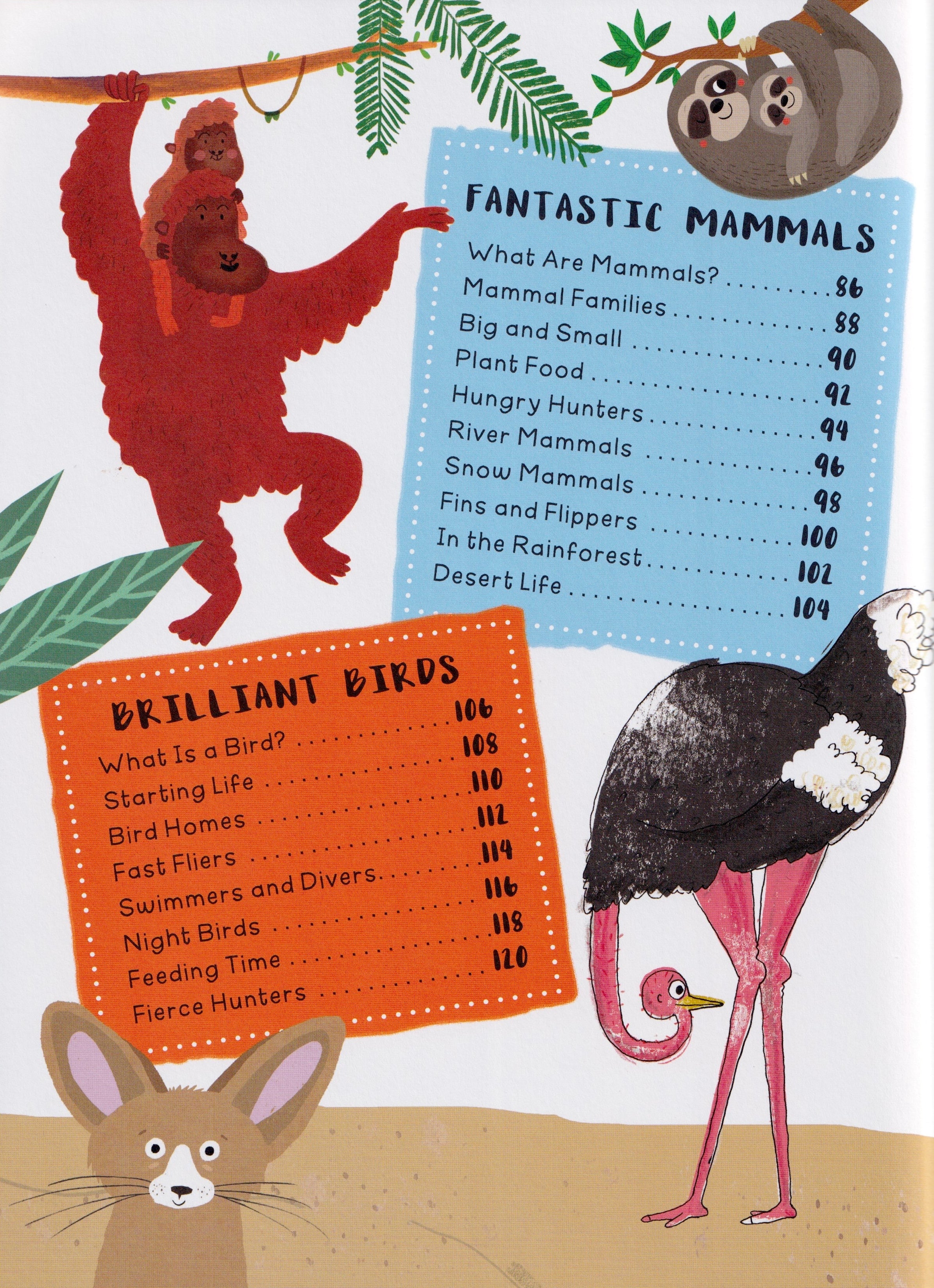 Encyclopedia Of Amazing Facts