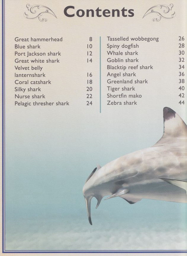 The Magnificent Book of Sharks