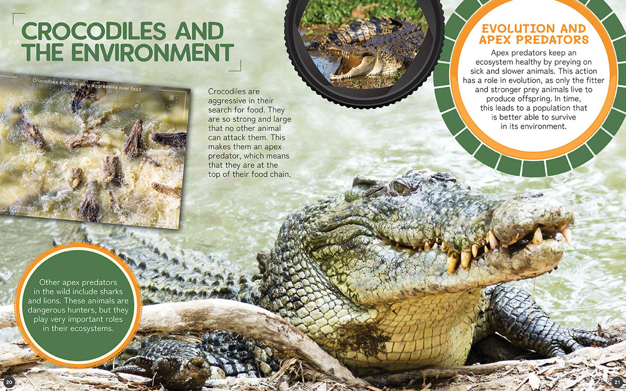 Australia's Remarkable Wildlife: Crocodile (Hardcover)
