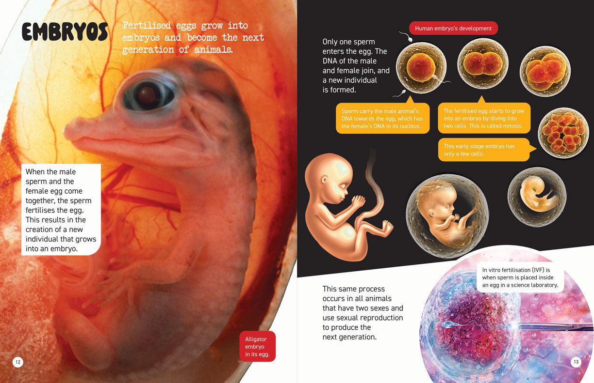 Microscopic and Hidden Life: Hidden Secrets of Animals