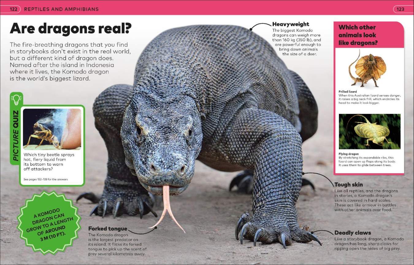 Why? Animals: Brilliant Answers to Baffling Questions