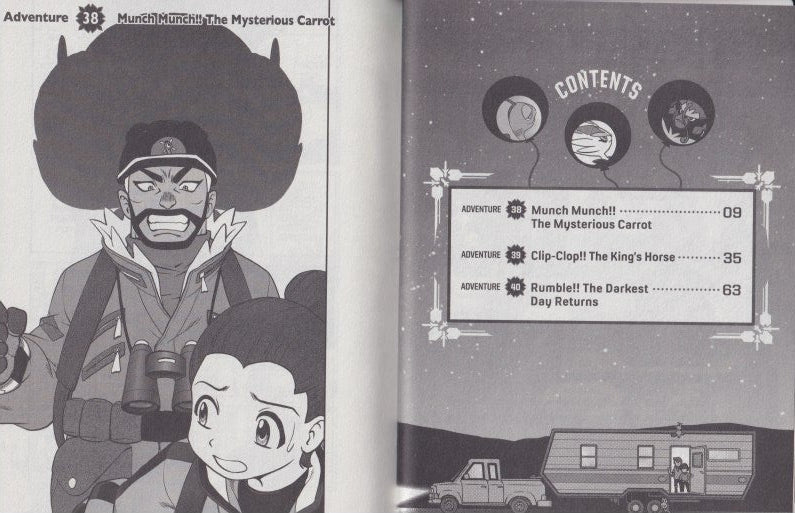 Pokémon: Sword & Shield, Vol. 13