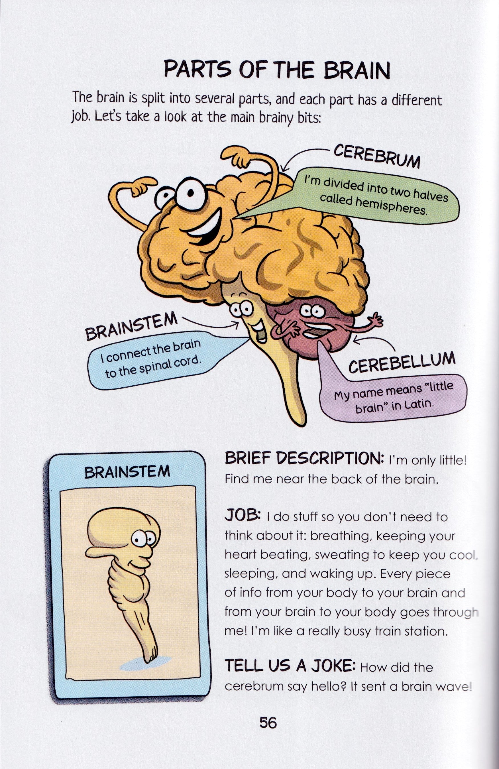 Tomorrow's World: How to Build a Human
