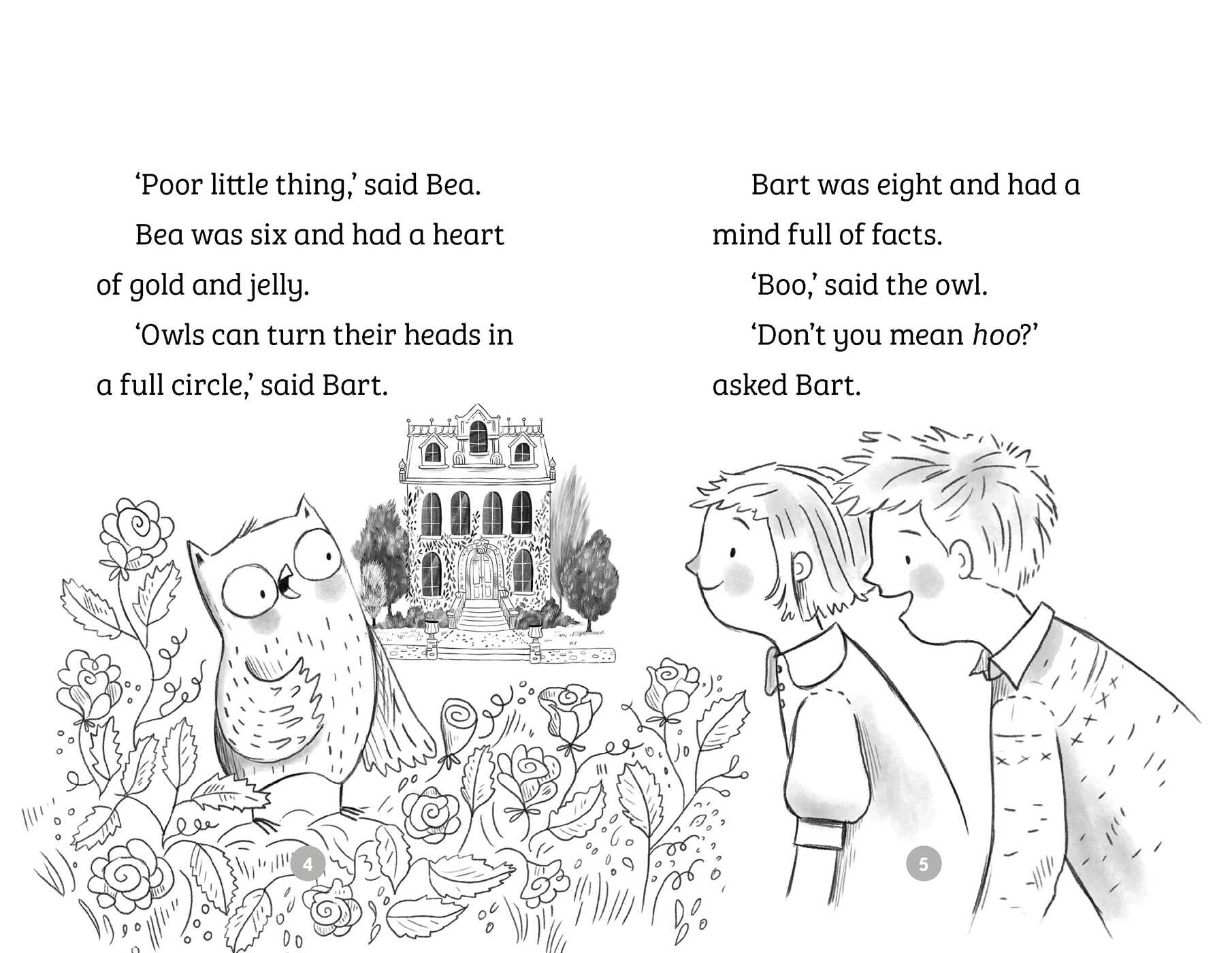 Your Next Read Silver: Bea, Bart and the Birds