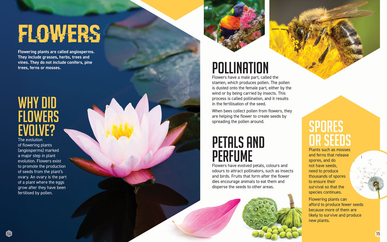STEM is Everywhere : The Power of PLANTS