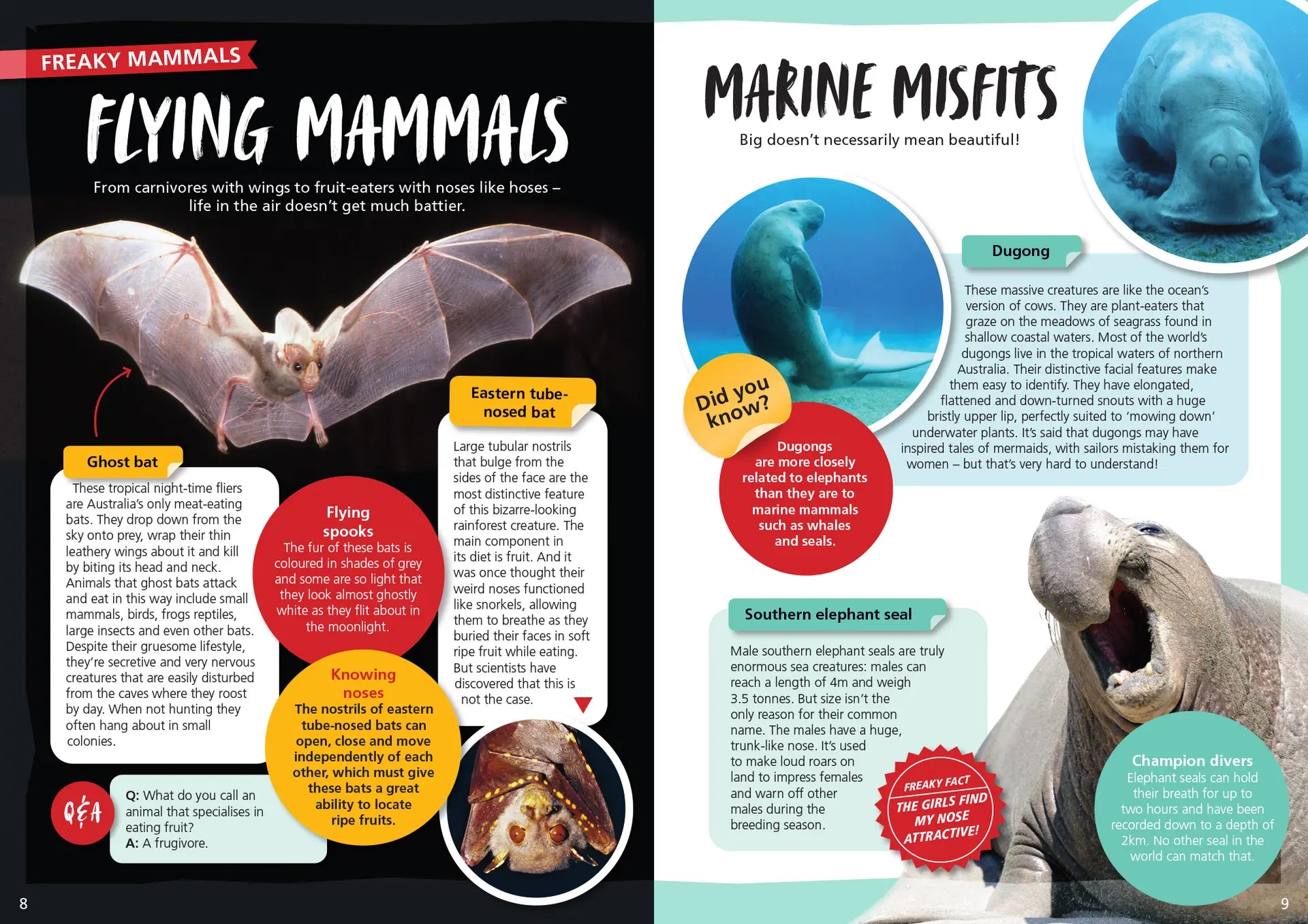 Australia's Most Freaky