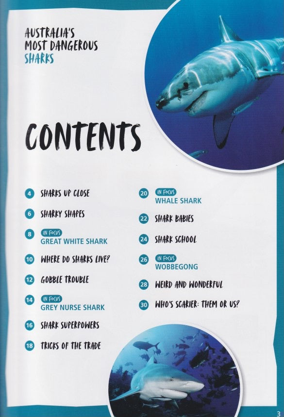 Australia's Most Dangerous Sharks