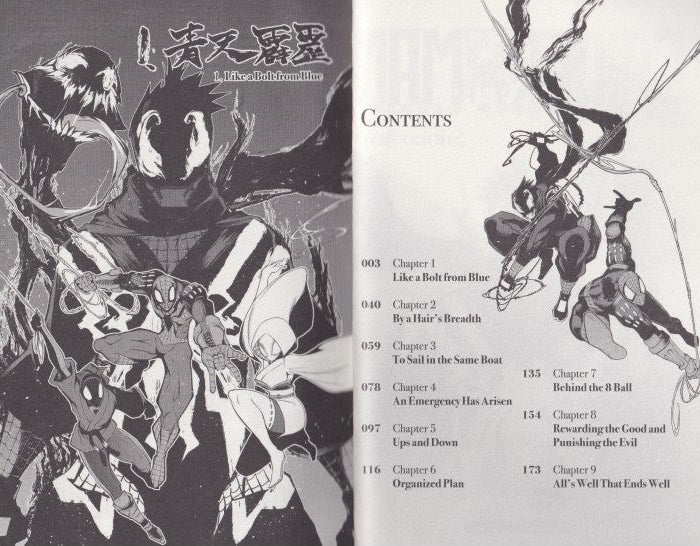 Spider-Man: Shadow Warrior