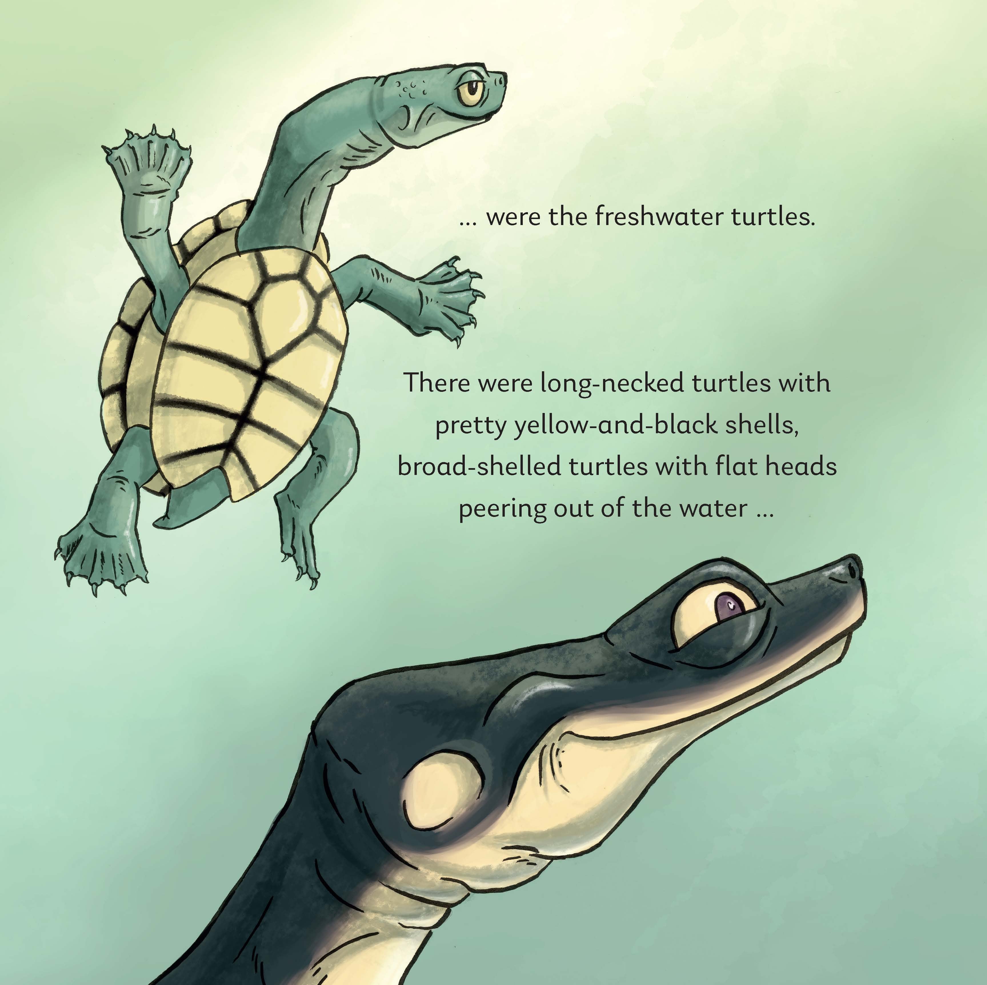 Mystery of the Missing Turtles