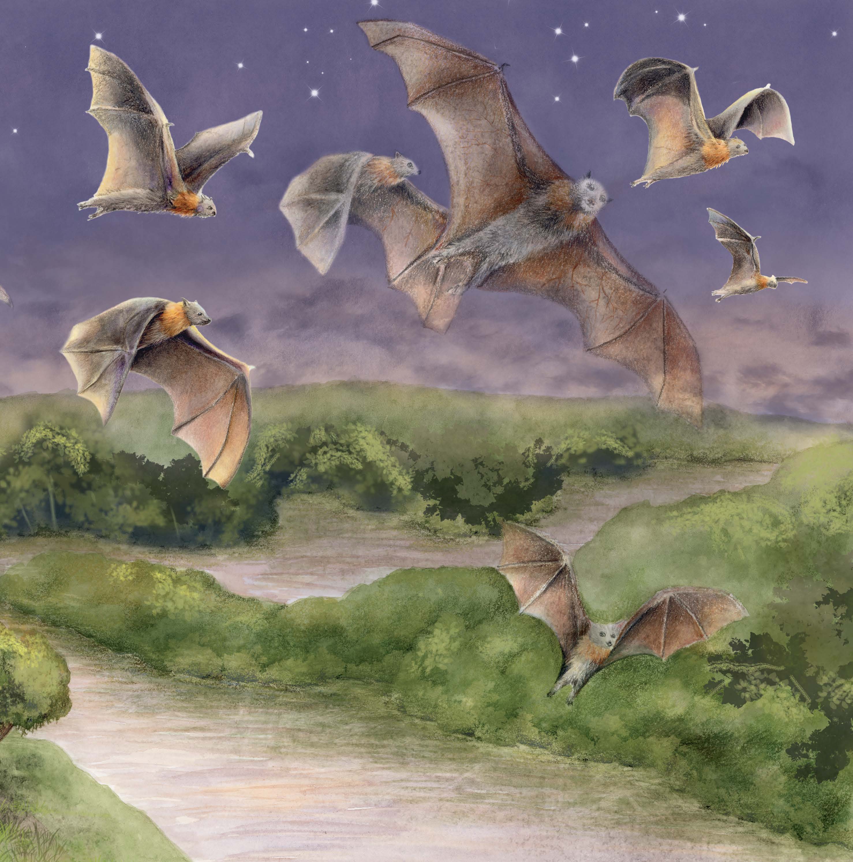 Last Bat of the Night