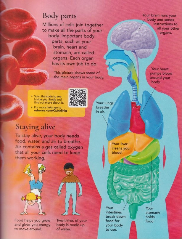 First Encyclopedia of the Human Body
