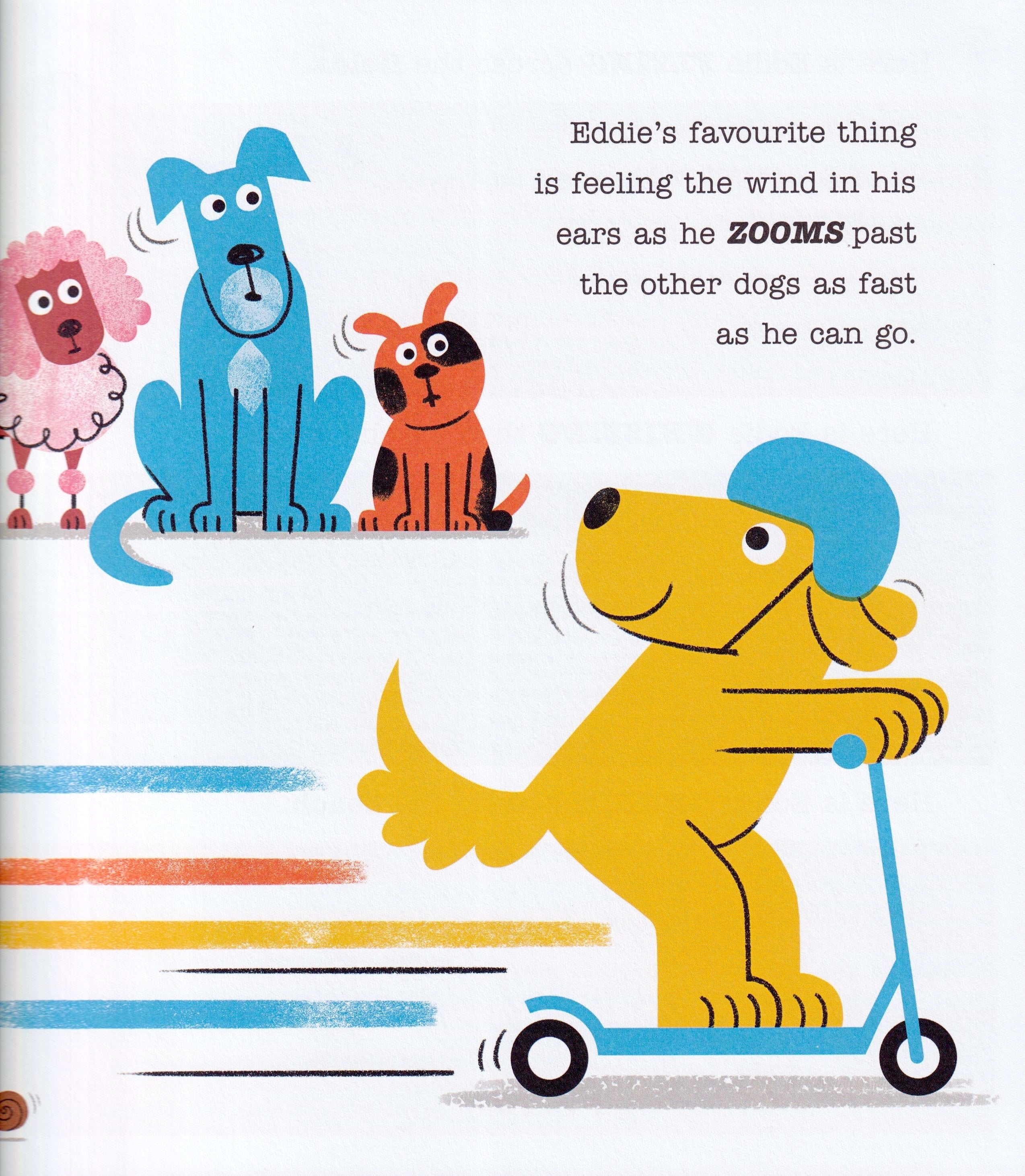 Scooter Dog