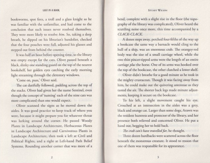 The 113th Assistant Librarian 2: Lost in a Book