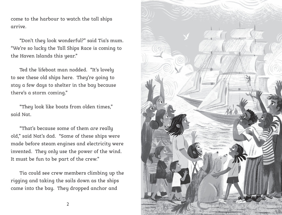 The Island Vet #5: Storm Bird Magic (Dyslexia Friendly)