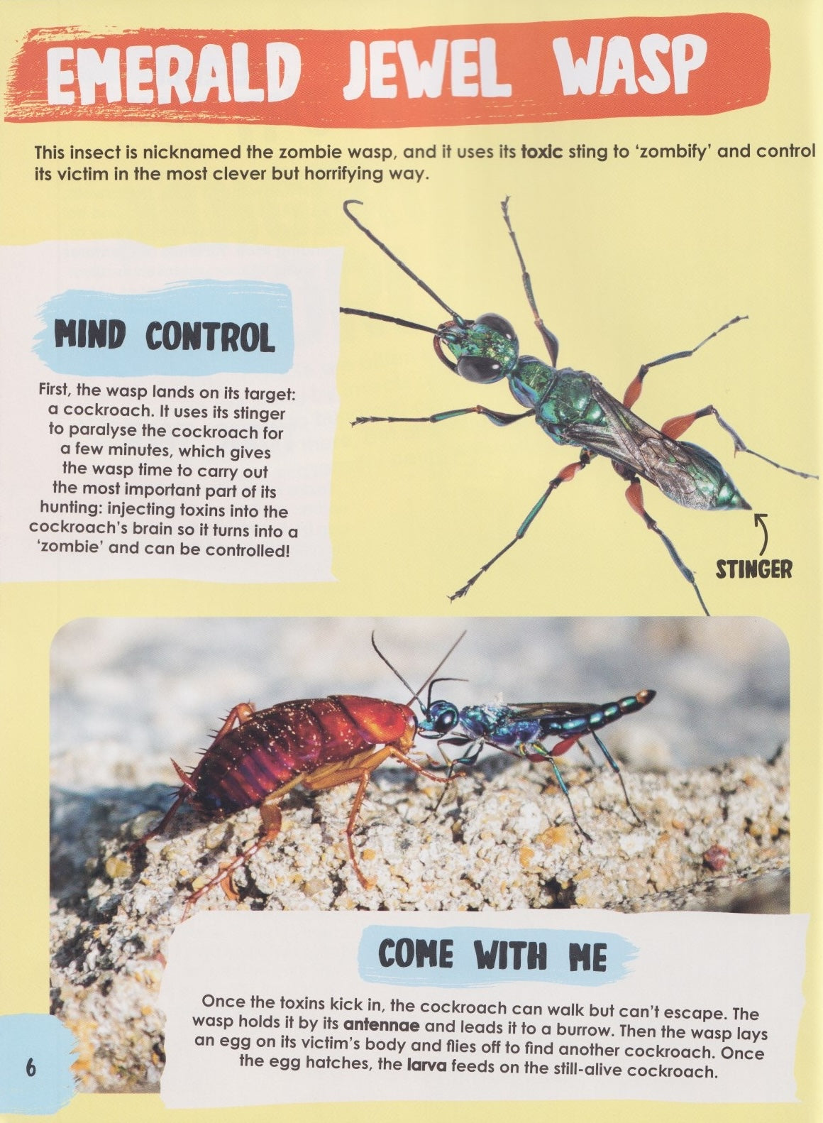 Unforgettably Wild Animals: Poisonous Predators